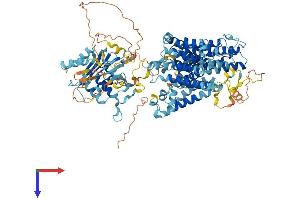 Solute Carrier Family 4, Sodium Bicarbonate Cotransporter, Member 9 (SLC4A9) (AA 1-983) protein (His tag)