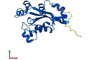Protein Structure (PS) image for NME/NM23 Nucleoside Diphosphate Kinase 6 (NME6) (AA 1-186) protein (His tag) (ABIN7549733)