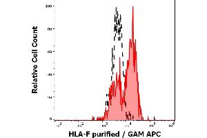 Separation of human activated lymphocytes stained using anti-human HLA-F (3D11) purified antibody (concentration in sample 5 μg/mL, GAM APC, red-filled) from human activated lymphocytes unstained by primary antibody (GAM APC, black-dashed) in flow cytometry analysis (surface staining) of human PMA + Ionomycin stimulated peripheral blood mononuclear cells. (HLA-F 抗体)