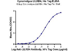 Immobilized Cynomolgus LILRB4, His Tag at 5 μg/mL (100 μL/well) on the plate.