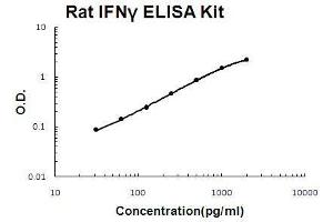 Rat IFN gamma PicoKine ELISA Kit standard curve (Interferon gamma ELISA 试剂盒)