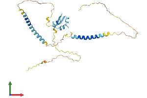 Protein Structure (PS) image for LysM, Putative Peptidoglycan-Binding, Domain Containing 3 (LYSMD3) (AA 1-306) protein (His tag) (ABIN7549140)