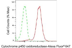 Flow cytometric analysis of Cytochrome p450 oxidoreductase expression in HepG2 cells using Cytochrome p450 oxidoreductase antibody (ABIN7799722), 1:2,000). (Recombinant POR 抗体)