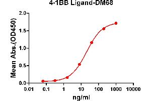 ELISA plate pre-coated by 2 μg/mL (100 μL/well) Human 4-1BB Ligand protein, mFc-His tagged protein ABIN6961118, ABIN7042265 and ABIN7042266 can bind Rabbit anti-4-1BB Ligand monoclonal antibody (clone: DM68) in a linear range of 1-100 ng/mL.