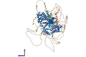 Protein Structure (PS) image for GTPase Activating Protein and VPS9 Domains 1 (GAPVD1) (AA 1-1478) protein (His tag) (ABIN7553986)