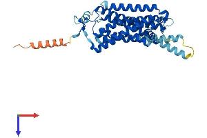 Trace Amine-Associated Receptor 7E (TAAR7E) (AA 1-358) protein (His tag)