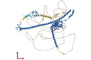 Protein Structure (PS) image for Tripartite Motif Containing 37 (TRIM37) (AA 1-964) protein (His tag) (ABIN7555842)