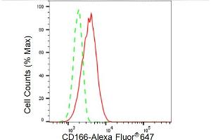 Flow cytometric analysis of CD166 expression in HT- cells using CD166 antibody (ABIN7797476), 1:2,000). (Recombinant CD166 抗体)