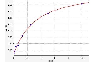 Typical standard curve (KIFC1 ELISA 试剂盒)
