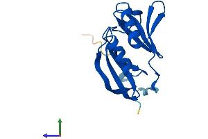 Protein Structure (PS) image for Glyoxalase Domain Containing 5 (GLOD5) (AA 1-148) protein (His tag) (ABIN7561123)