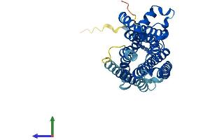 Protein Structure (PS) image for Trace Amine Associated Receptor 9 (TAAR9) (AA 1-348) protein (His tag) (ABIN7557492)