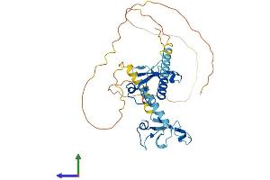 Protein Structure (PS) image for Muscleblind-like Protein 1 (MBNL1) (AA 1-341) protein (His tag) (ABIN7561643)