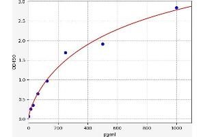 Neurofilament, Heavy Polypeptide (NEFH) ELISA Kit