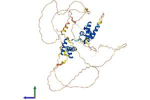 AlphaFold protein structure predicition of Human Recombinant POU2F2 Protein, UniprotID P09086 (Oct-2 Protein (AA 1-479) (His tag))