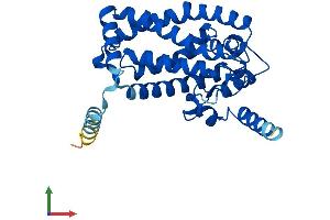 Protein Structure (PS) image for Methylsterol Monooxygenase 1 (MSMO1) (AA 1-293) protein (His tag) (ABIN7549558)