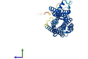 Protein Structure (PS) image for Trace Amine Associated Receptor 6 (TAAR6) (AA 1-345) protein (His tag) (ABIN7557501)