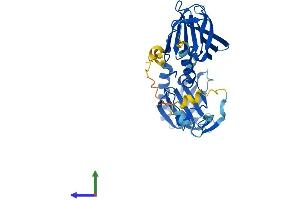 Protein Structure (PS) image for Bardet-Biedl Syndrome 5 (BBS5) (AA 1-341) protein (His tag) (ABIN7564964)