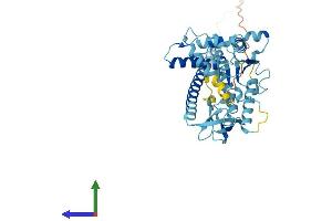 Protein Structure (PS) image for Proteasome (Prosome, Macropain) 26S Subunit, ATPase, 4 (PSMC4) (AA 1-418) protein (His tag) (ABIN7551041)