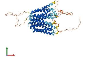 AlphaFold protein structure predicition of Human Recombinant MFSD4A Protein, UniprotID Q8N468 (MFSD4 Protein (AA 1-514) (His tag))