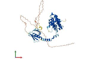 Protein Structure (PS) image for rho GTPase Activating Protein 15 (ARHGAP15) (AA 1-481) protein (His tag) (ABIN7558483)