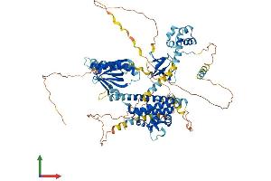 Protein Structure (PS) image for Epidermal Growth Factor Receptor Pathway Substrate 8 (EPS8) (AA 1-822) protein (His tag) (ABIN7553805)