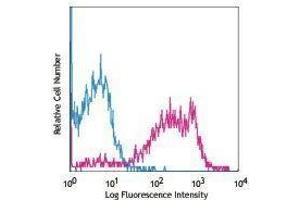 Flow Cytometry (FACS) image for anti-CD226 (CD226) antibody (PE) (ABIN2663186) (CD226 抗体  (PE))