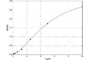 A typical standard curve (IMPDH2 ELISA 试剂盒)