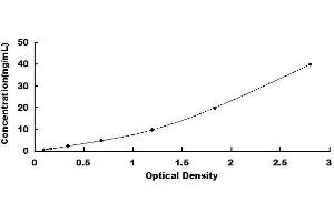 Typical standard curve (TLR4 ELISA 试剂盒)