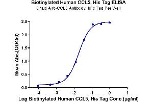 ELISA image for Chemokine (C-C Motif) Ligand 5 (CCL5) (AA 24-91) protein (His-Avi Tag,Biotin) (ABIN7274046)