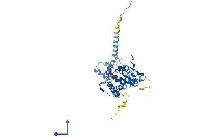 Protein Structure (PS) image for Heparan Sulfate 6-O-Sulfotransferase 1 (HS6ST1) (AA 1-411) protein (His tag) (ABIN7561796)