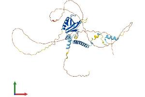 Protein Structure (PS) image for Interaction Protein For Cytohesin Exchange Factors 1 (IPCEF1) (AA 1-437) protein (His tag) (ABIN7548384)