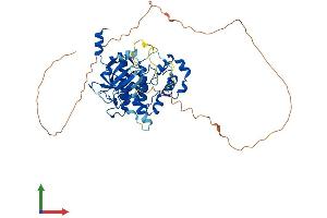 Protein Structure (PS) image for Cyclin-Dependent Kinase 19 (CDK19) (AA 1-502) protein (His tag) (ABIN7553160)