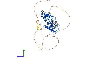 Protein Structure (PS) image for Cyclin L2 (CCNL2) (AA 1-518) protein (His tag) (ABIN7561576)