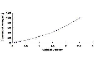 Typical standard curve (ST14 ELISA 试剂盒)