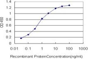 Detection limit for recombinant GST tagged SGK2 is approximately 0. (SGK2 抗体  (AA 293-367))