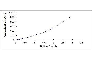 Typical standard curve (GDF5 ELISA 试剂盒)