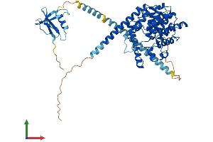 Protein Structure (PS) image for phosphodiesterase 9A (PDE9A) (AA 1-534) protein (His tag) (ABIN7562586)