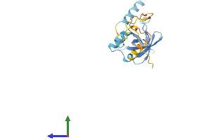Protein Structure (PS) image for Eukaryotic Translation Initiation Factor 1A Domain Containing (EIF1AD) (AA 1-170) protein (His tag) (ABIN7557061)