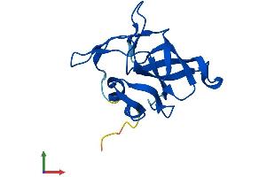 Protein Structure (PS) image for Ribosomal Protein L23 (RPL23) (AA 1-140) protein (His tag) (ABIN7556618)
