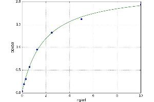 A typical standard curve (MMP28 ELISA 试剂盒)