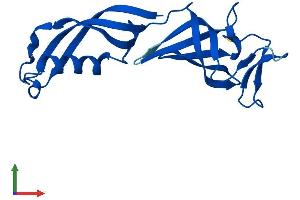 Protein Structure (PS) image for Polymerase (RNA) II (DNA Directed) Polypeptide G (POLR2G) (AA 1-172) protein (His tag) (ABIN7551524)