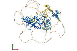Protein Structure (PS) image for SEC23 Interacting Protein (SEC23IP) (AA 1-998) protein (His tag) (ABIN7564069)