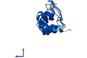 Protein Structure (PS) image for Cyclin-Dependent Kinase Inhibitor 2D (p19, Inhibits CDK4) (CDKN2D) (AA 1-166) protein (His tag) (ABIN7557610)