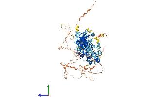 AlphaFold protein structure predicition of Human Recombinant DDX24 Protein, UniprotID Q9GZR7
