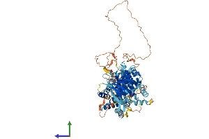 Protein Structure (PS) image for Phosphoinositide-3-Kinase, Regulatory Subunit 6 (PIK3R6) (AA 1-754) protein (His tag) (ABIN7554999)