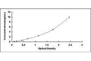CD63 (CD63) ELISA Kit