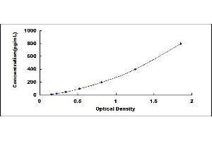 ELISA image for Energy Homeostasis Associated (ENHO) ELISA Kit (ABIN4947332)