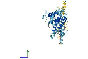 Protein Structure (PS) image for PRP18 Pre-mRNA Processing Factor 18 (PRPF18) (AA 1-342) protein (His tag) (ABIN7551047)