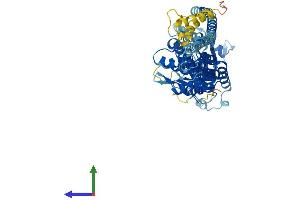 Protein Structure (PS) image for Guanylate Binding Protein 7 (GBP7) (AA 1-638) protein (His tag) (ABIN7547930)