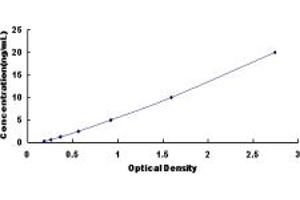 Typical standard curve (UROD ELISA 试剂盒)